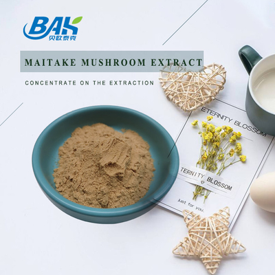 Pure Natural Immune Enhancing Supplements Maitake Mushroom Extract Powder