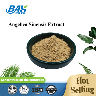 Immune Enhancing Supplements High Quality HALAL Chinese Angelica Extract Dong Quai Root Powder 80 Mesh