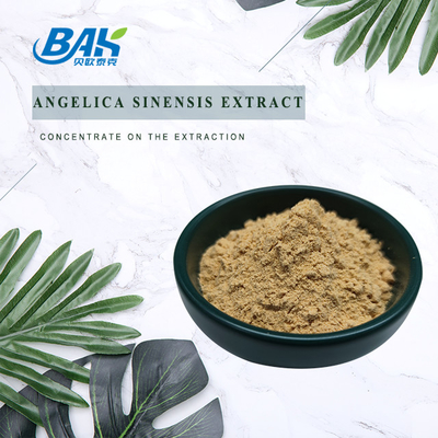 Ligustilide Liver Protection Supplement Angelica Sinensis Extract Anti Inflammatory