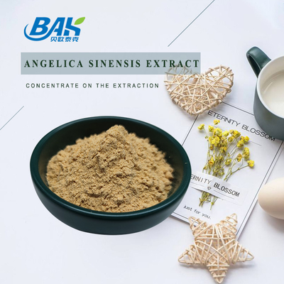 Immune Enhancing Supplements High Quality HALAL Chinese Angelica Extract Dong Quai Root Powder 80 Mesh