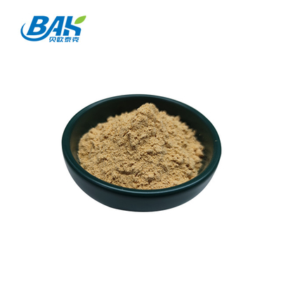 Immune Enhancing Supplements High Quality HALAL Chinese Angelica Extract Dong Quai Root Powder 80 Mesh