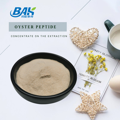 Men Oyster Peptide Protein Powder 90%