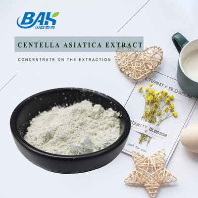 98% Natural Cosmetic Ingredients Gotu Kola Extract / Centella Asiatica Extract
