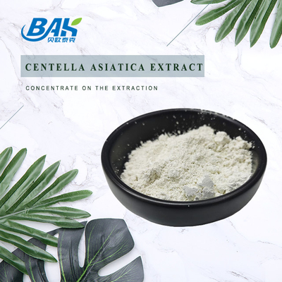 98% Natural Cosmetic Ingredients Gotu Kola Extract / Centella Asiatica Extract
