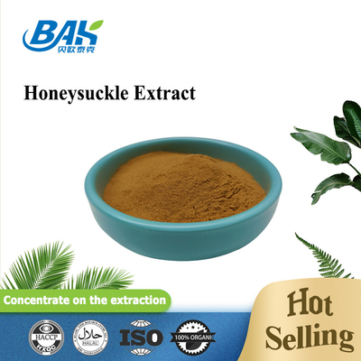 Factory Wholesale Honeysuckle Extract Immune Enhancing Supplements 5% Chlorogenic Acid