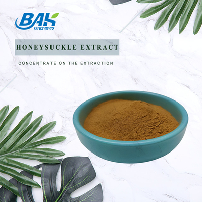 Factory Wholesale Honeysuckle Extract Immune Enhancing Supplements 5% Chlorogenic Acid