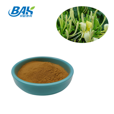 Chlorogenic Acid Liver Protection Supplement Honeysuckle Flower Extract