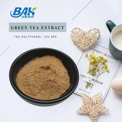 Cas 84650-60-2 Green Tea Extract Powder Polyphenol 10%-98%