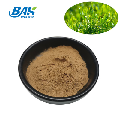 Cas 84650-60-2 Green Tea Extract Powder Polyphenol 10%-98%