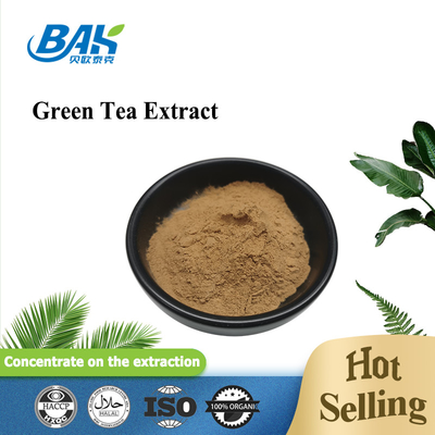 Cas 84650-60-2 Green Tea Extract Powder Polyphenol 10%-98%