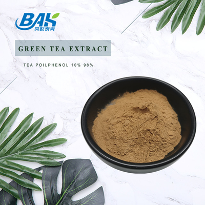 Cas 84650-60-2 Green Tea Extract Powder Polyphenol 10%-98%
