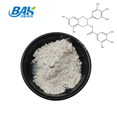 Cas 989-51-5 Green Tea Extract Powder Egcg 95% Immune Enhancing Supplements