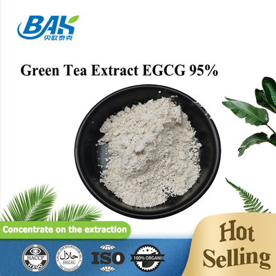 Cas 989-51-5 Green Tea Extract Powder Egcg 95% Immune Enhancing Supplements