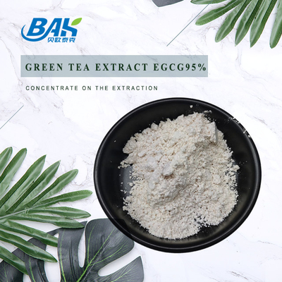 Cas 989-51-5 Green Tea Extract Powder Egcg 95% Immune Enhancing Supplements