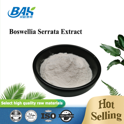 Pure Natural Off White Boswellia Serrata Extract 60% - 95% Boswellic Acid Powder