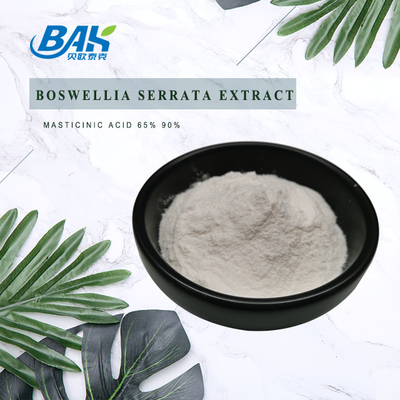 Pure Natural Off White Boswellia Serrata Extract 60% - 95% Boswellic Acid Powder