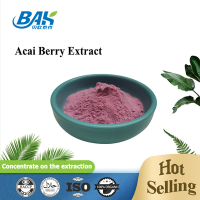 Antioxidant Acai Berry Extract Anthocyanin Powder 5% - 25%
