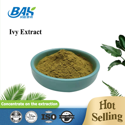 Hedera Helix Extract Chinese Ivy Extract Hederacoside C