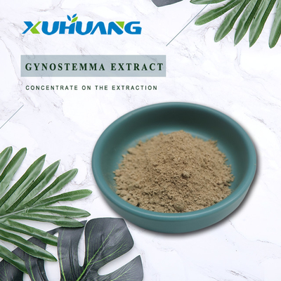 80% 98% Weight Loss Supplement Gynostemma Extract Powder
