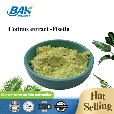 Cotinus Extract Natural Cosmetic Ingredients Fisetin Powder 10% - 98%