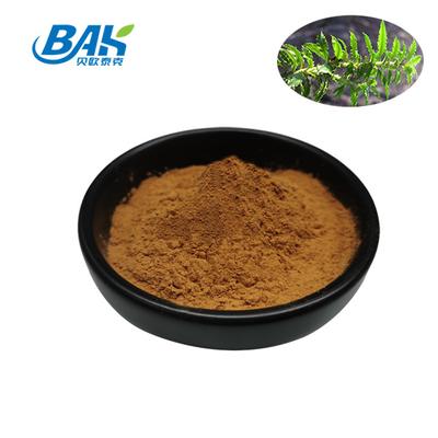 Herb Sleep Enhancing Supplement Huperzia Serrate P.E. Extract