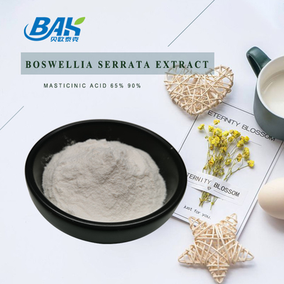 Pure Natural Off White Boswellia Serrata Extract 60% - 95% Boswellic Acid Powder