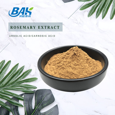 Liver Protection Supplement Rosemary Extract Rosmarinic Acid 2% - 98%