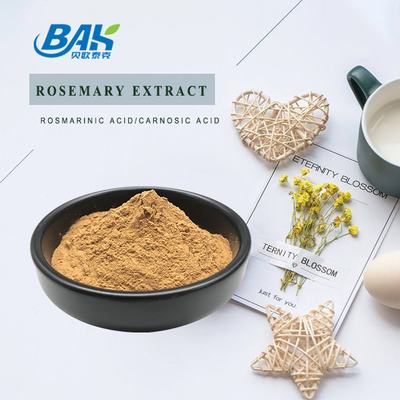 Liver Protection Supplement Rosemary Extract Rosmarinic Acid 2% - 98%