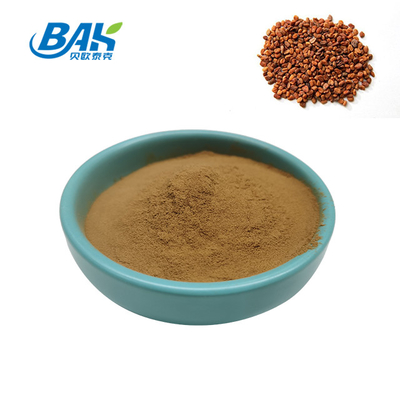 Fenugreek Saponin 50% Sleep Enhancing Supplement Fenugreek Seed Extract