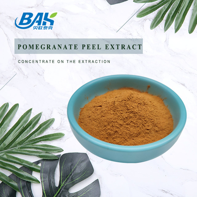 Pomegranate Peel Extract Natural Cosmetic Ingredients Ellagic Acid