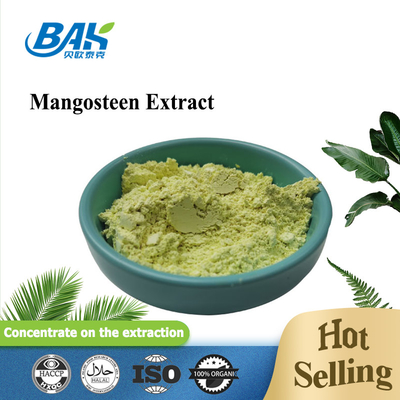 Mangosteen Extract Immune Enhancing Supplements 10 - 90% Alpha-Mangostin Powder