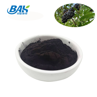 1% - 25% Anthocyanin Extract Supplement Elderberry Extract Powder Boost Immunity