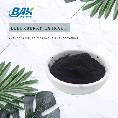 1% - 25% Anthocyanin Extract Supplement Elderberry Extract Powder Boost Immunity