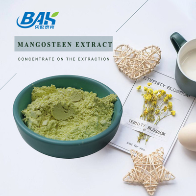 10% - 90% Liver Protection Supplement Alpha Mangostin Mangosteen Extract Powder