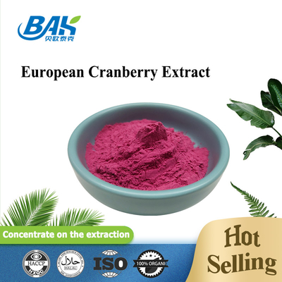 Cranberry Extract Supplement Eye Protection Anthocyanin Powder