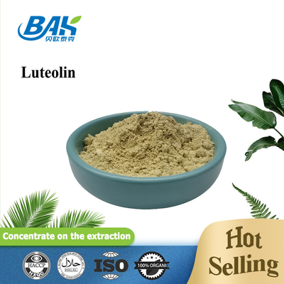 90% - 98% Luteolin Powder Immune Enhancing Supplements CAS 491-70-3