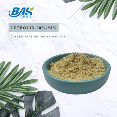 90% - 98% Luteolin Powder Immune Enhancing Supplements CAS 491-70-3