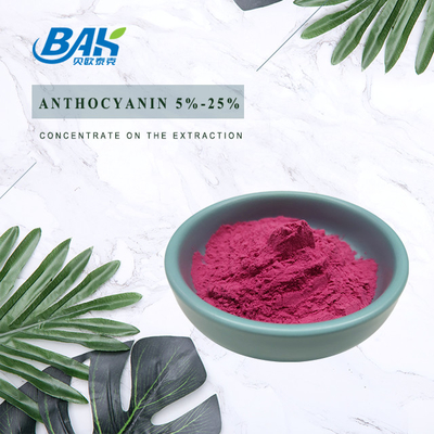 5% - 25% Blueberry Extract Anthocyanin Supplement