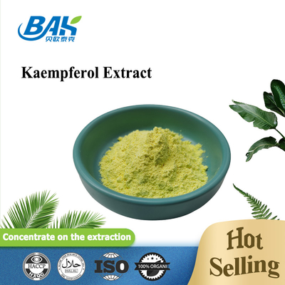 Extract Solvent Natural Cosmetic Ingredients Kaempferol Powder 98%