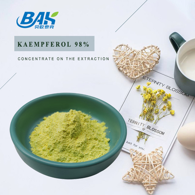 Cas 520-18-3 Immune Enhancing Supplements Kaempferol Powder 98%