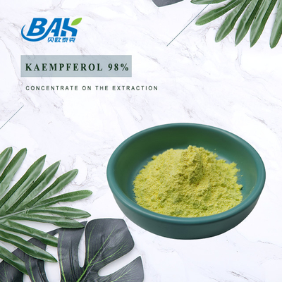 Cas 520-18-3 Immune Enhancing Supplements Kaempferol Powder 98%