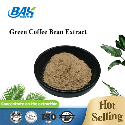 10% - 70% Chlorogenic Acid Nutrient Supplement Powder Green Coffee Bean Extract