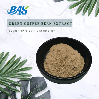 Chlorogenic Acid Liver Protection Supplement Green Coffee Bean Extract 50%