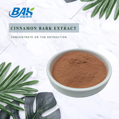 Polyphenol Nutrient Supplement Powder Cinnamon Bark Extract