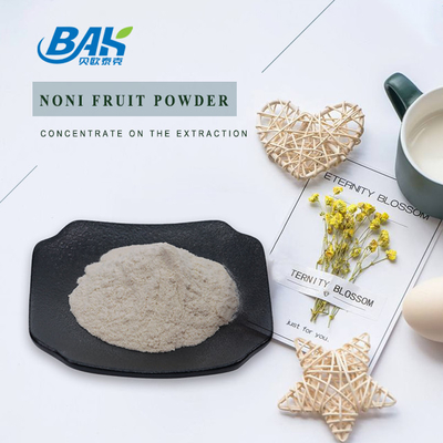 Enhance Immunity Fruit And Vegetable Powders Noni Fruit Powder 80 Mesh