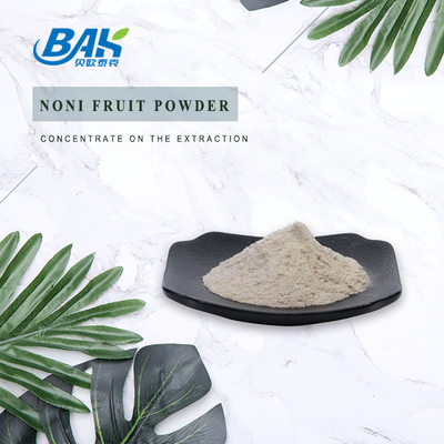 Enhance Immunity Fruit And Vegetable Powders Noni Fruit Powder 80 Mesh