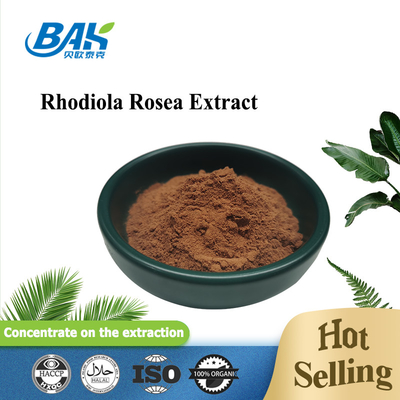 Rhodiola Rosea Extract Mens Health Supplement Rhodioloside 3%