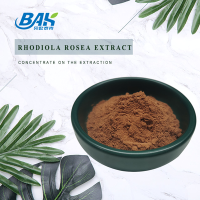 Rhodiola Rosea Extract Mens Health Supplement Rhodioloside 3%