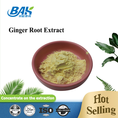 Water Soluble Gingerol 1% - 5% Mens Health Supplement Ginger Extract Powder