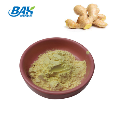 Ginger Root Extract Nutrient Supplement Powder 1% - 10% Gingerol Powder